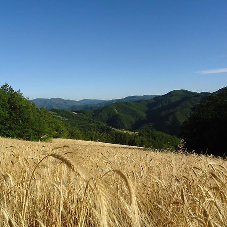 Agriturismo I Monti Di Salecchio Палаццуоло-суль-Сенио Экстерьер фото