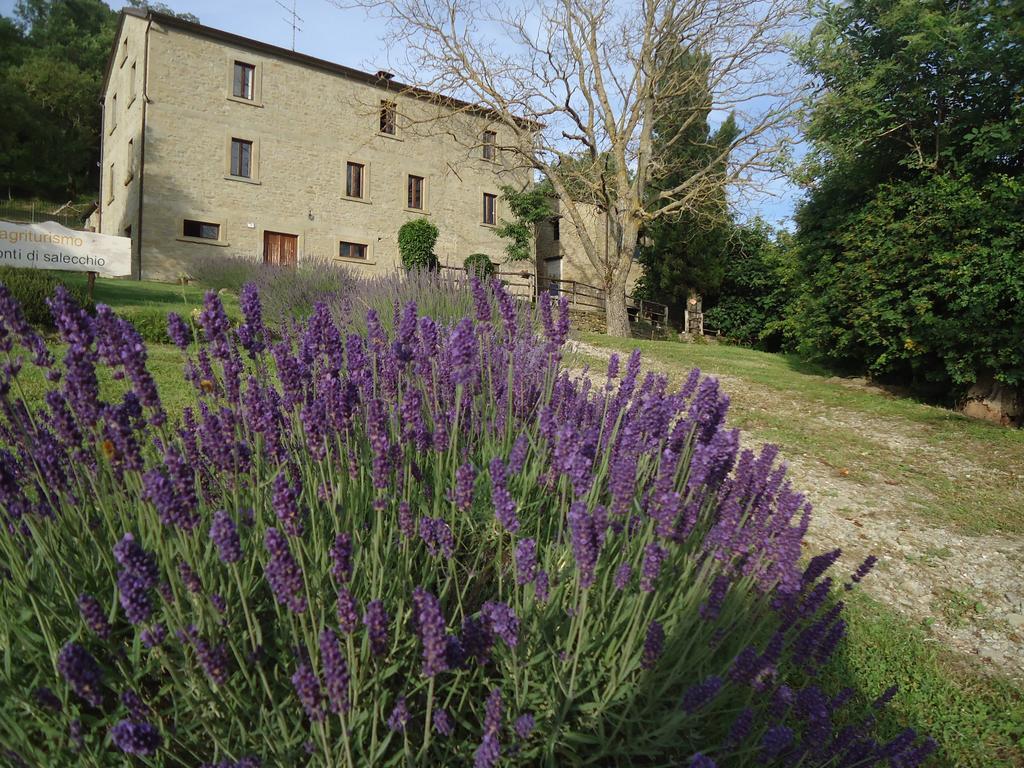 Agriturismo I Monti Di Salecchio Палаццуоло-суль-Сенио Экстерьер фото