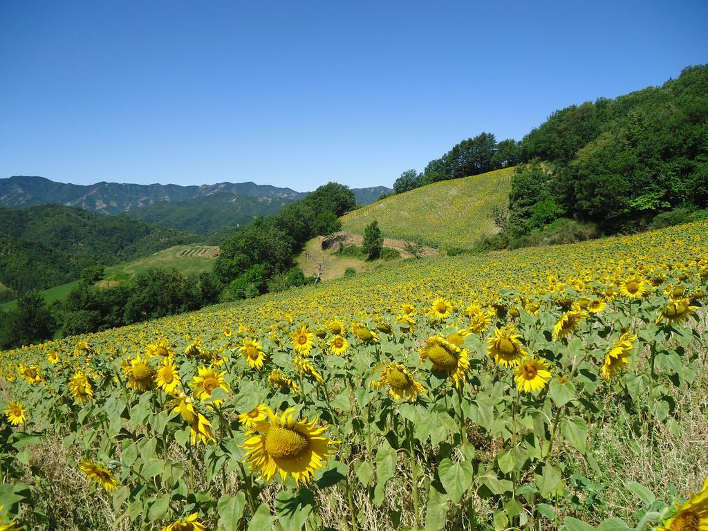 Agriturismo I Monti Di Salecchio Палаццуоло-суль-Сенио Экстерьер фото