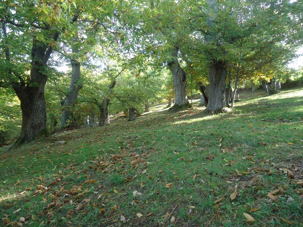 Agriturismo I Monti Di Salecchio Палаццуоло-суль-Сенио Экстерьер фото