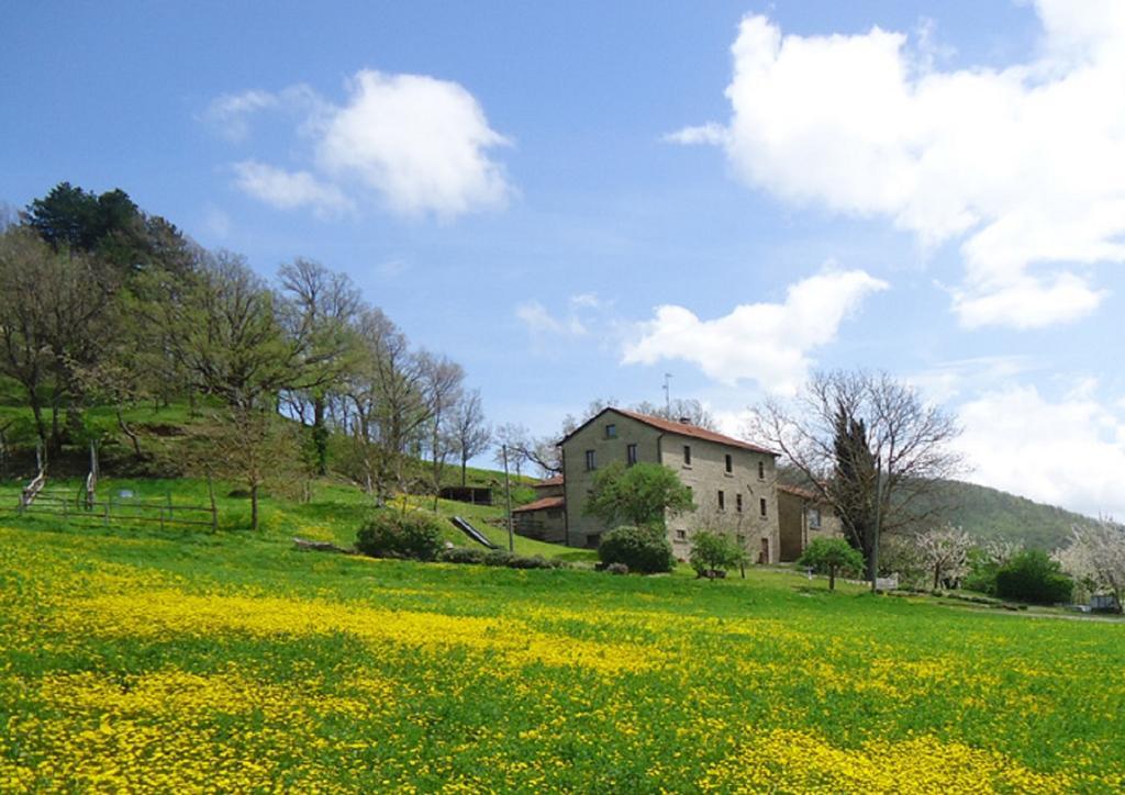 Agriturismo I Monti Di Salecchio Палаццуоло-суль-Сенио Экстерьер фото